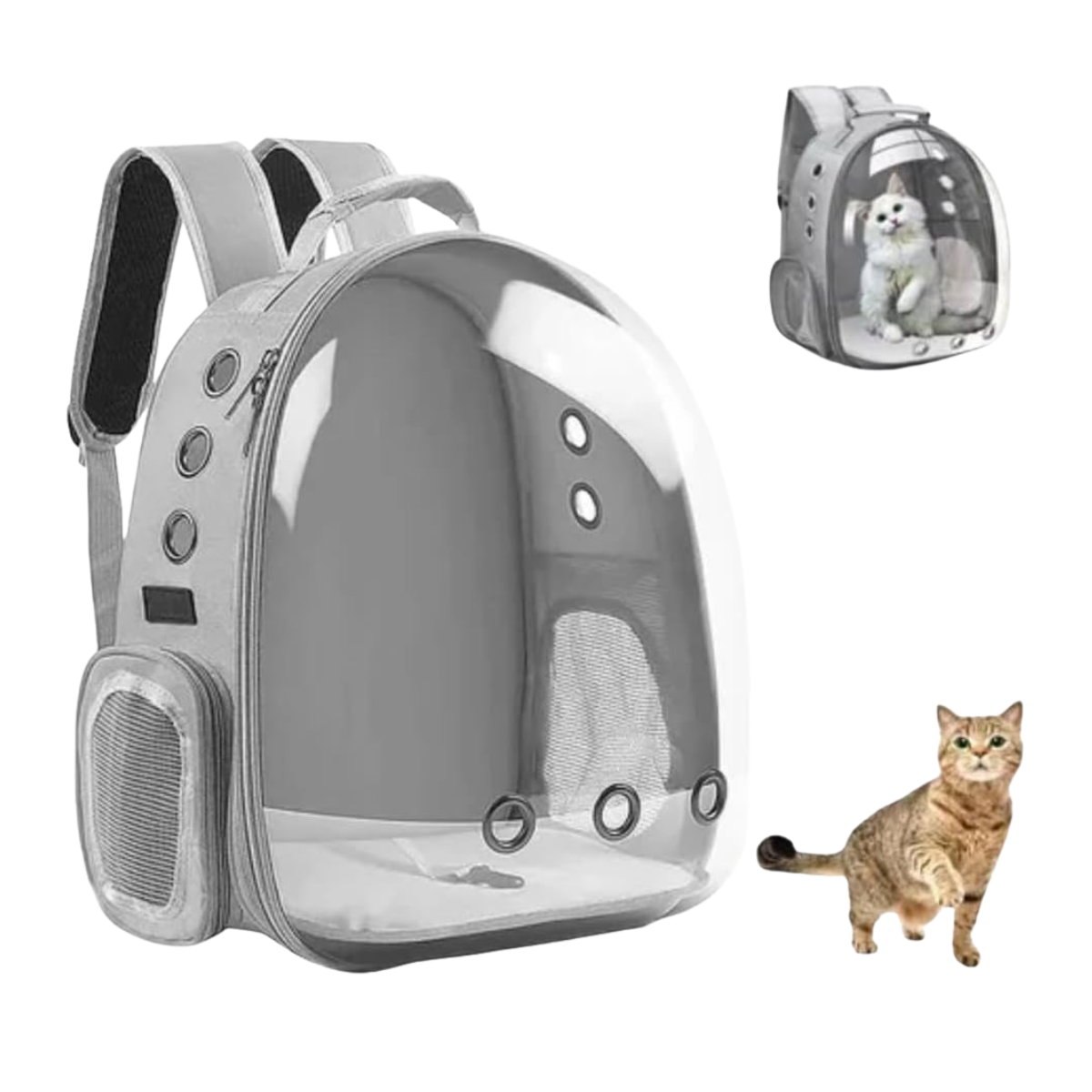 product-pic